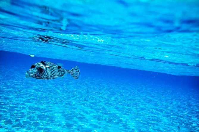 8-Hour Private 40 Yacht 2-Stop Tour to Palancar Beach W/ Food, Drinks & Snorkel - Cancellation Policy