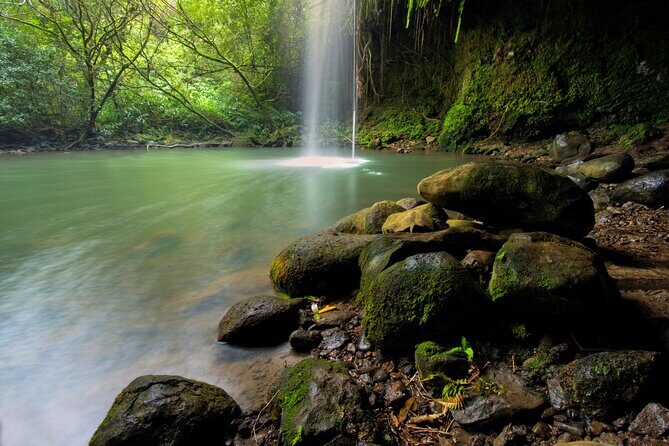 8 Hour Private Jungle Waterfall Tour from Maui - First Impressions: Why This Tour Could Be a Great Fit