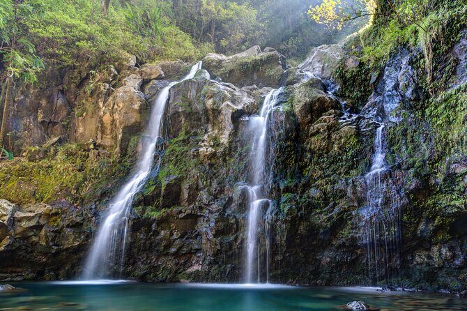 8 Hour Private Jungle Waterfall Tour from Maui - An In-Depth Look at the Maui Jungle Waterfall Tour