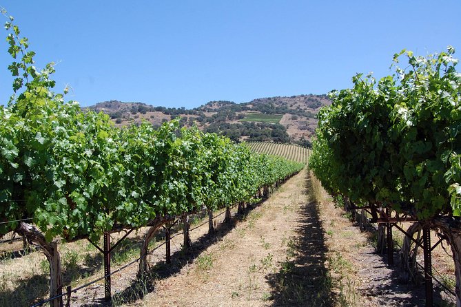 8 Hour Private Tour in Napa Valley Winery - Tour Pricing and Guarantee
