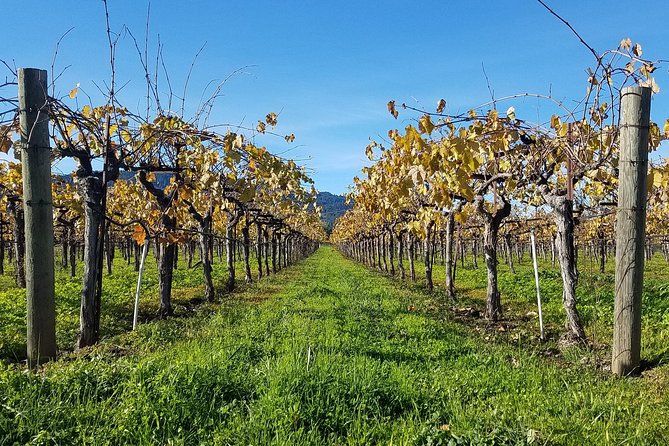 8 Hour Private Wine Country Tour (Sedan, SUV or Limo) - Tour Pricing and Booking Details