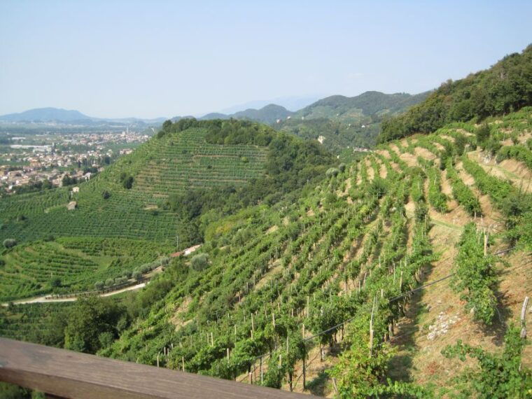 8-Hour Prosecco Wine and Tastings Tour from Venice or Padua - Is It Worth the Price?