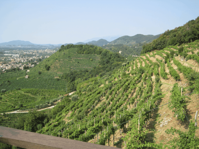 8-Hour Prosecco Wine and Tastings Tour from Venice or Padua - Practical Details and Tips