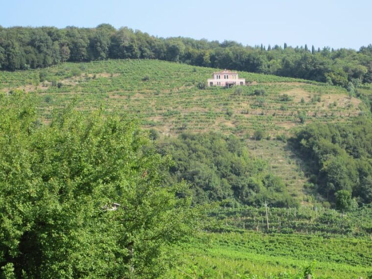 8-Hour Prosecco Wine and Tastings Tour from Venice or Padua - FAQs