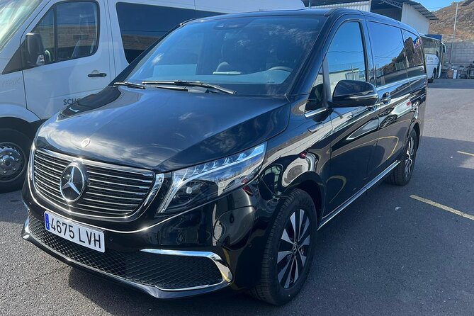 8-Hour Rental in a Luxury Car and Driver/Official Private Guide in Tenerife - Service Details
