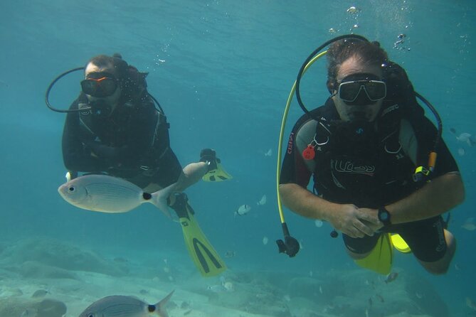 8-Hour Scuba Diving Experience in Side With Lunch - Customer Reviews Summary