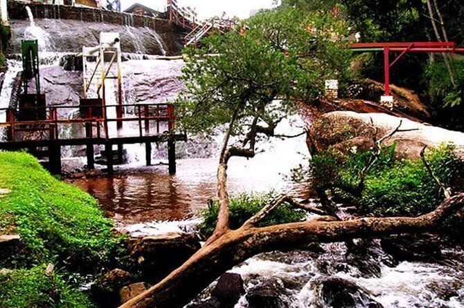 8 Hour Tour - Campos Do Jordão - Ticket Inclusions