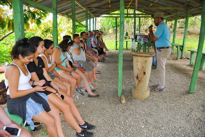 8-Hour Tour Enjoying the Dominican Culture Through the Countryside - Reviews and Customer Support