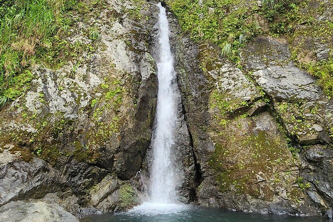 8 Hour Tour Of Tropical Rainforest Waterfalls and Panoramic Views - Traveler Experiences