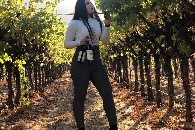 8 Hours 12 Passengers limo bus for Napa or Sonoma wine tour - Final Thoughts