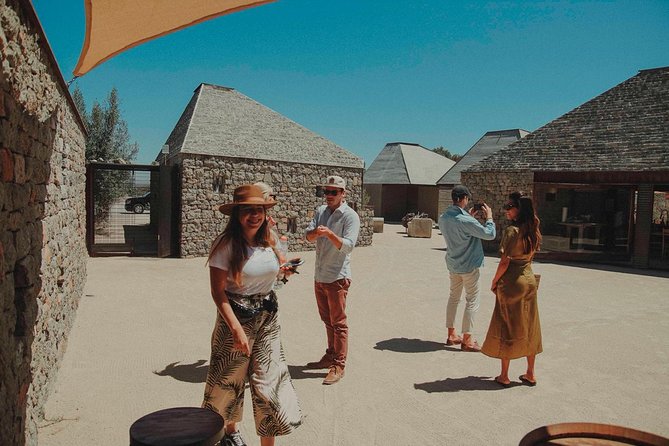 8 Hours 6 Passengers: Valle De Guadalupe Wine Tour by Private SUV - Additional Information
