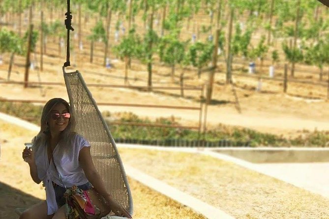 8 Hours 6 Passengers: Valle De Guadalupe Wine Tour by Private SUV - Common Questions