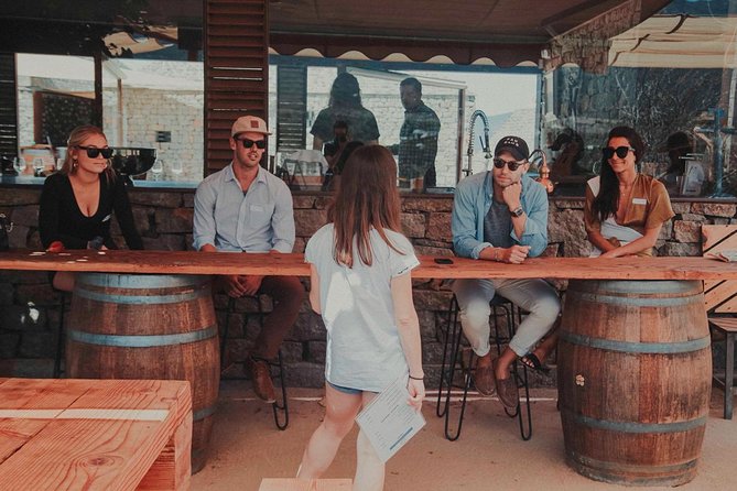 8 Hours 6 Passengers: Valle De Guadalupe Wine Tour by Private SUV - The Sum Up