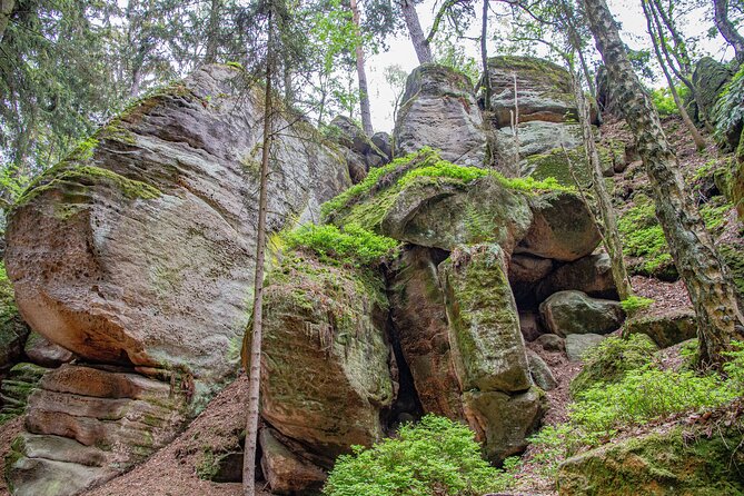 8 Hours Bohemian Paradise Private Tour by Car - What To Expect