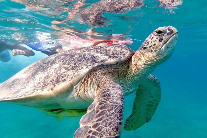 8 Hours Private Activity in Abu Dabab From Hurghada - Directions