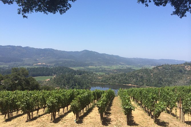 8-Hours Private Limo(Up to 8 Pass.) Wine Tour of Napa Valley From San Francisco - Travel in a Limousine With Room for Eight