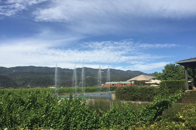 8-Hours Private Limo(Up to 8 Pass.) Wine Tour of Napa Valley From San Francisco - Pickup Included From Select Hotels