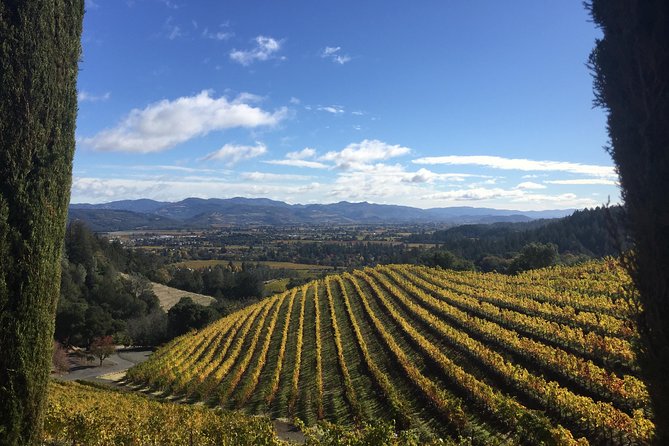 8-Hours Private Limo(Up to 8 Pass.) Wine Tour of Napa Valley From San Francisco - Inclusions and Inclusive Fees