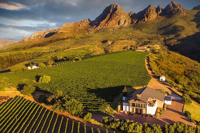 8 Hours Private Stellembosh and Franshhoek Wine Tour - Wine Tasting Experiences