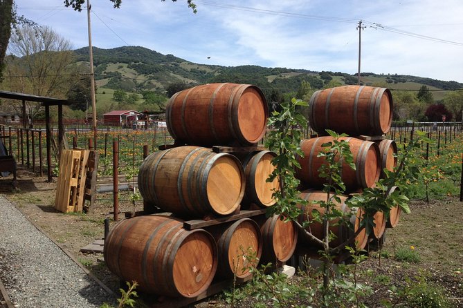 8-Hours Private SUV (up to 6 Passengers) San Francisco to Napa Valley Wine Tour - Inclusions