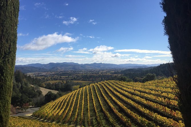 8-Hours Private SUV (up to 6 Passengers) San Francisco to Napa Valley Wine Tour - Meeting and Pickup