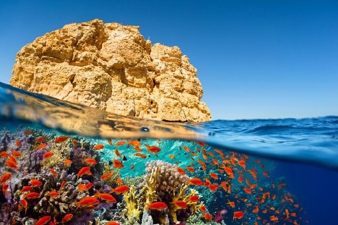 8 Hours Snorkeling With Lunch and Transfer in Sharm El-Sheikh - Pickup Information
