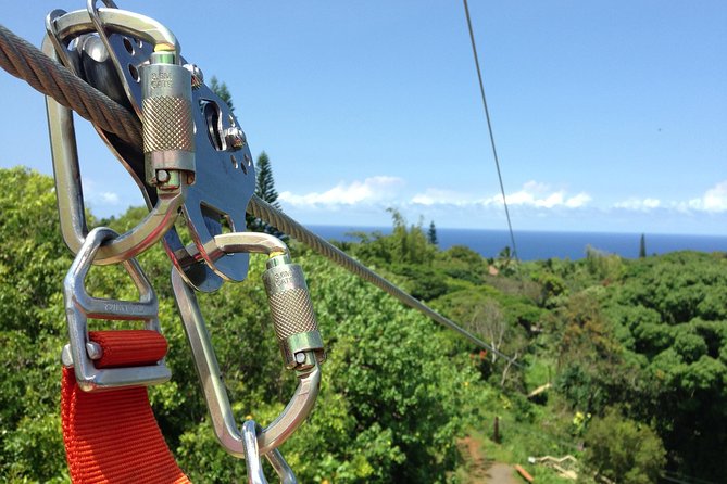 8 Lines Jungle Zipline Tour on Maui - Eco Tour - Overview and Location