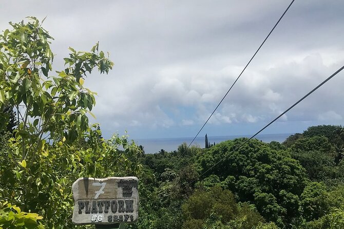 8 Lines Jungle Zipline Tour on Maui - Eco Tour - Additional Information