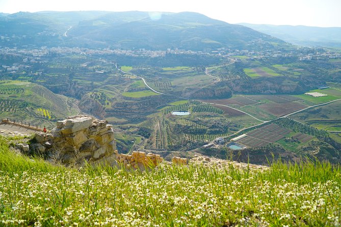 8-Night Best of Jordan Including 1 Night Wadi Rum,Aqaba & DeadSea - Sightseeing and Activities