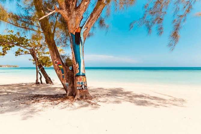 876 Beach Club Day Pass Plus Aqua Park From Falmouth Cruise Port - Tour Overview