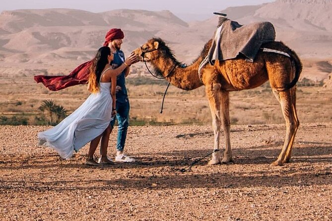 8D Morocco Luxury Private Tour From Casablanca By Imperial Cities - Reviews and Ratings