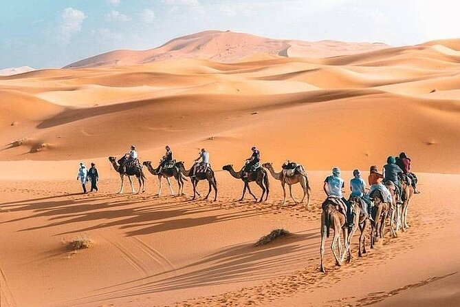 8D Morocco Luxury Private Tour From Casablanca By Imperial Cities - Common Questions