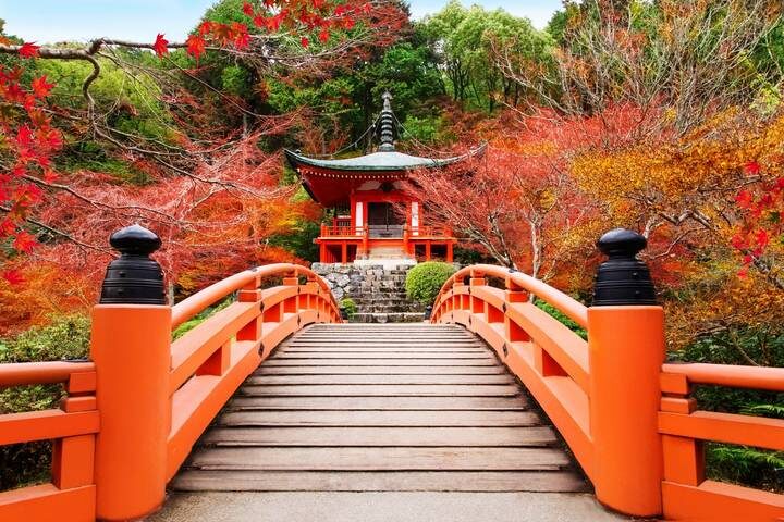 8D Splendid Japan-Private 3 Star Hotels-Osaka to Tokyo by Stunning Tours - Day 5: Toyota’s industrial story and Narai-juku
