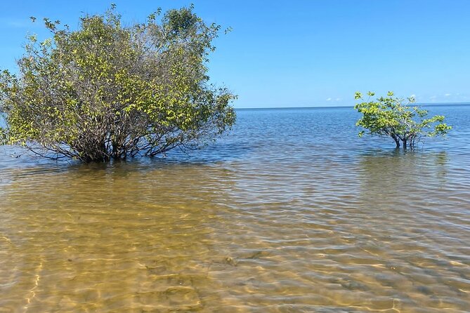 8day Expedition of Scenic Beauty and Amazon Traditional Culture on Tapajós River - Itinerary Highlights