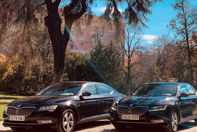 8h Private Car Driver to Segovia From Madrid - Segovias Attractions