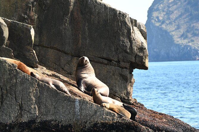 8hr Kenai Fjords Whale Watching Tour w/ 1hr Fishing 16 Passengers - FAQ