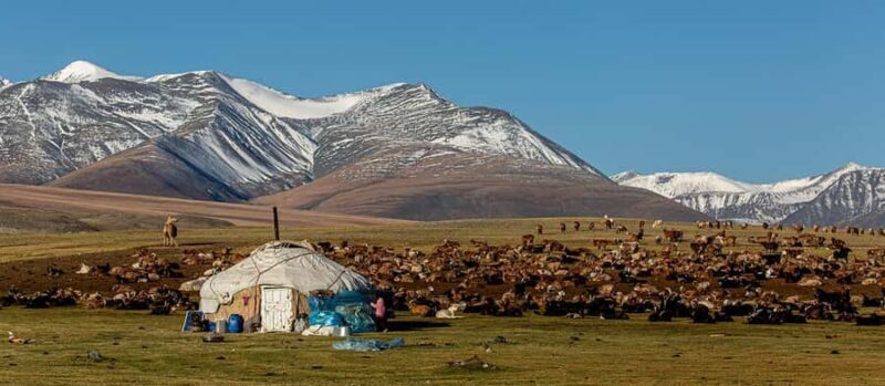 9-Day Altai Tavan Bogd National Park Tour - Good To Know