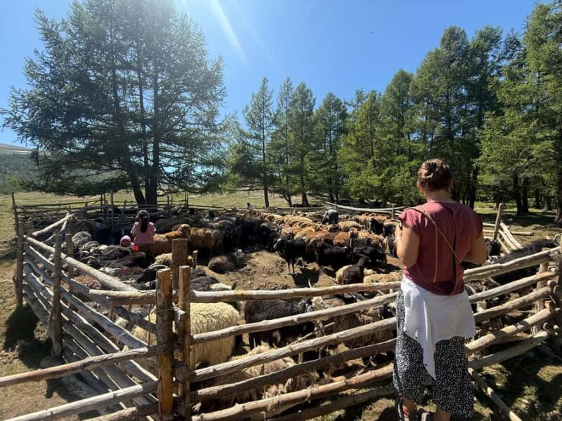 9-Day Altai Tavan Bogd National Park Tour - Day 5: Khoton and Khurgan Lakes