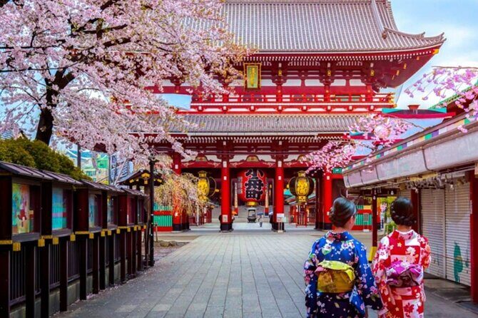 9 Day Best of Japan Cherry Blossom Small Group Tour 2026 - Good To Know