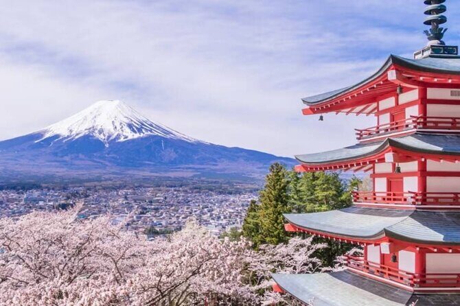 9 Day Best of Japan Cherry Blossom Small Group Tour 2026 - Exploring Tokyo: The Perfect Blend of Tradition and Modernity