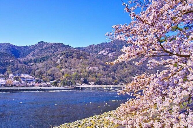 9 Day Best of Japan Cherry Blossom Small Group Tour 2026 - Final Thoughts: Is This Tour Worth It?