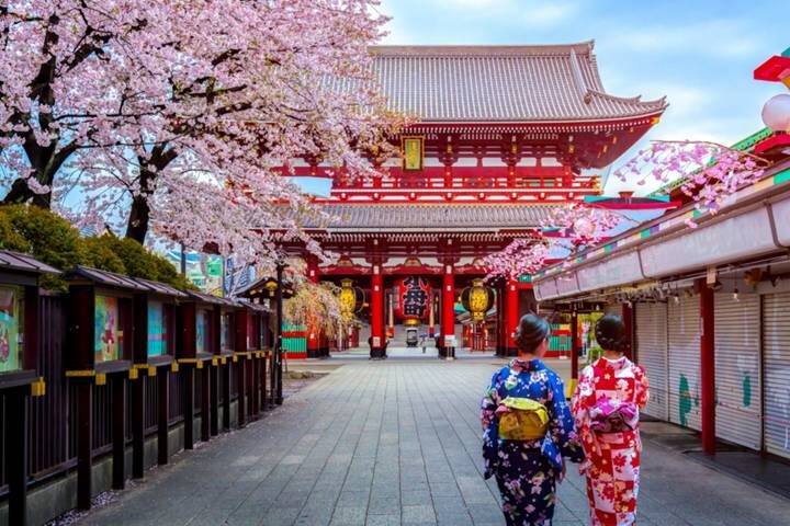 9 Day Best of Japan Cherry Blossom Tour 2027 by UME Travel - Tokyo to Osaka - The details that matter at a glance
