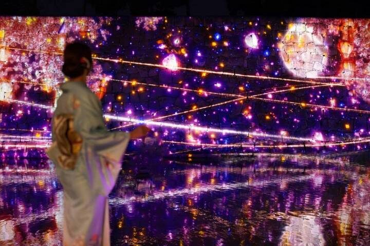 9 Day Best of Japan Cherry Blossom Tour 2027 by UME Travel - Tokyo to Osaka - Kyoto by bullet train, then time to find your own rhythm