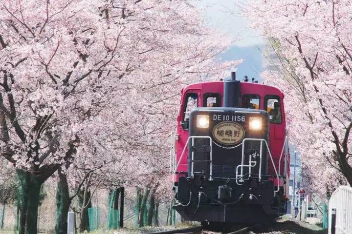 9 Day Best of Japan Cherry Blossom Tour 2027 by UME Travel - Tokyo to Osaka - Nara’s deer and Osaka’s food streets