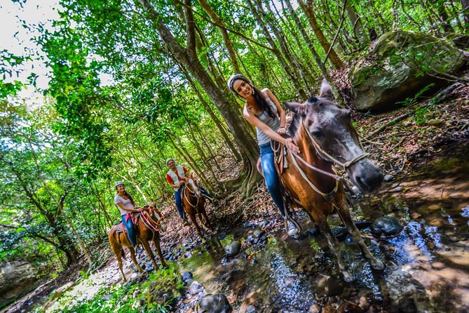 9-Day Best of Northwest Costa Rica From San Jose: Arenal Volcano National Park, Monteverde Cloud for - Tour Details