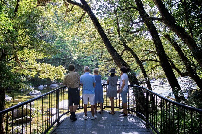 9 Day Brisbane to Daintree Whitsundays Great Barrier Reef Comfort - Day 5: Crater Lakes and Atherton Tablelands