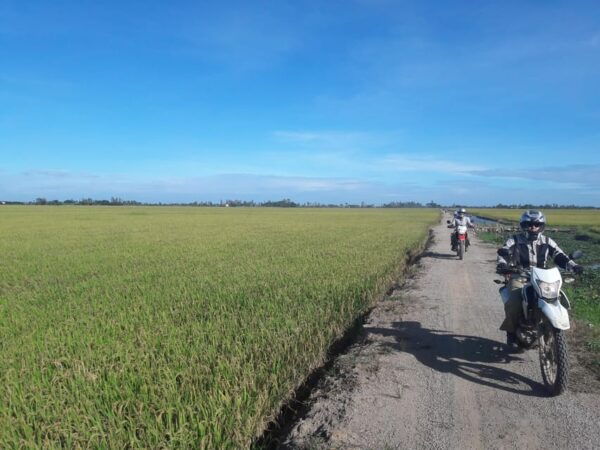 9 Day Discover Vietnam Mekong Delta Guided Motorcycle Tour - Riding Experience