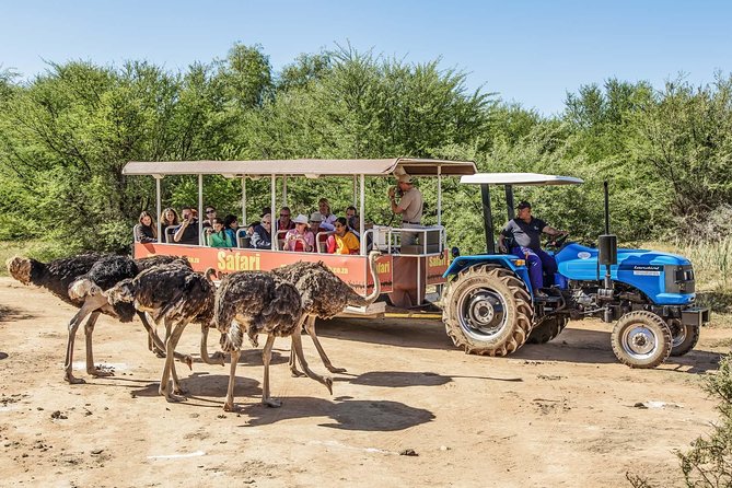 9 Day Garden Route, Karoo and Addo Wonders - Departure From Cape Town