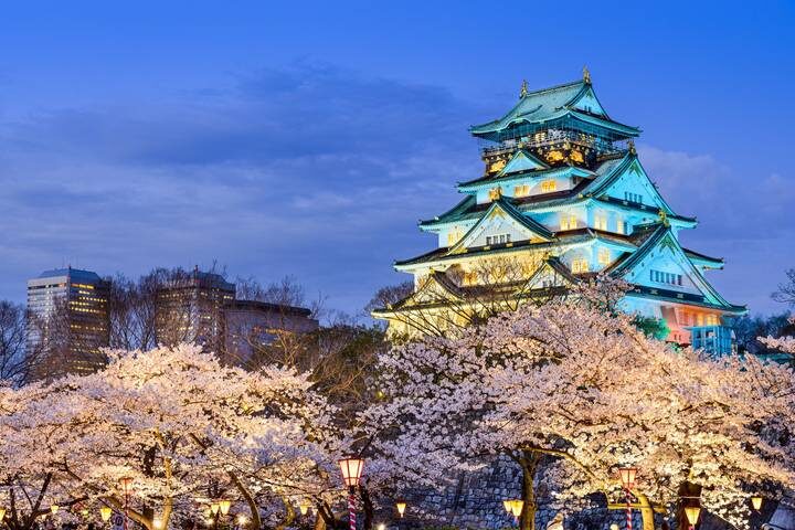9 Day Independent Japan by Vio Travel - Tokyo’s first day: settle in before the sightseeing