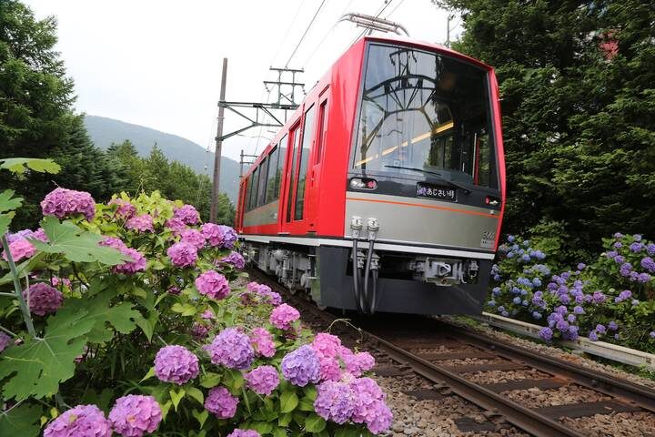 9 Day Independent Japan by Vio Travel - Osaka by train and on foot